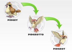 Эволюция Пиджи