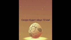 Счастливое яйцо в Pokemon Go